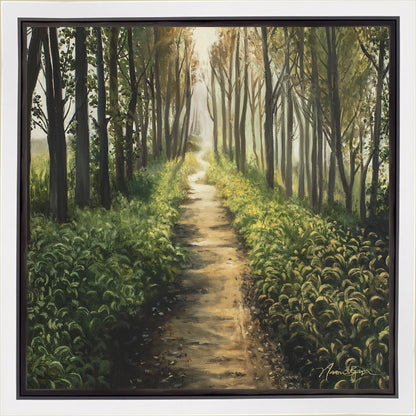 Enjoy The Beauty On Your Broken Path, Forest Walkway