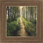 Enjoy The Beauty On Your Broken Path, Forest Walkway