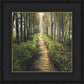 Enjoy The Beauty On Your Broken Path, Forest Walkway