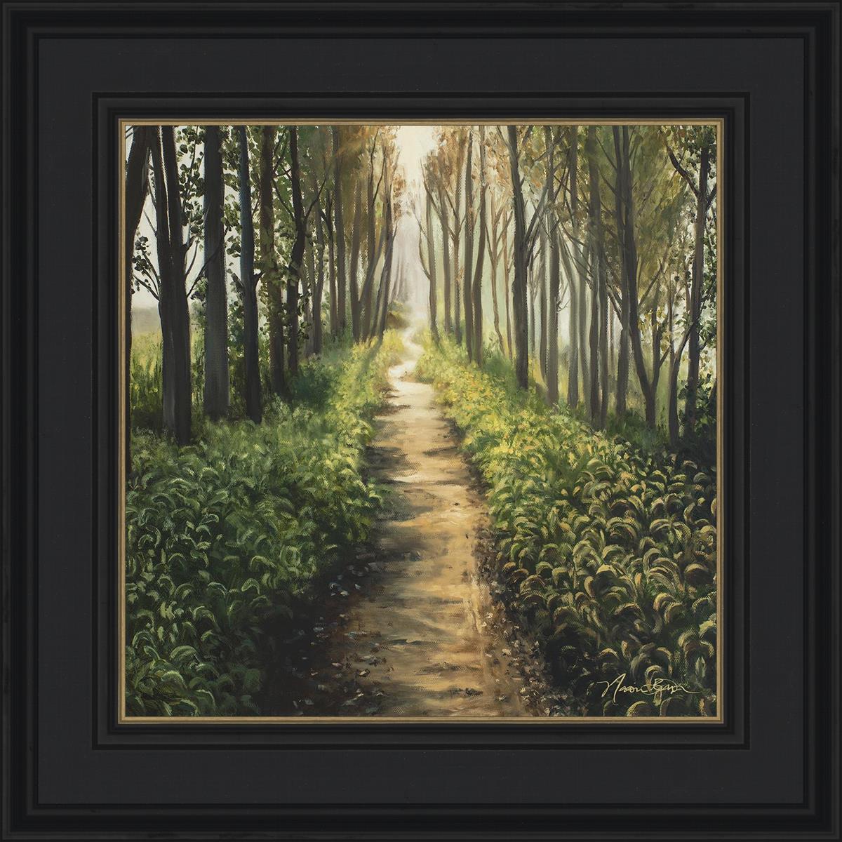 Enjoy The Beauty On Your Broken Path, Forest Walkway