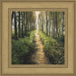 Enjoy The Beauty On Your Broken Path, Forest Walkway
