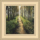 Enjoy The Beauty On Your Broken Path, Forest Walkway