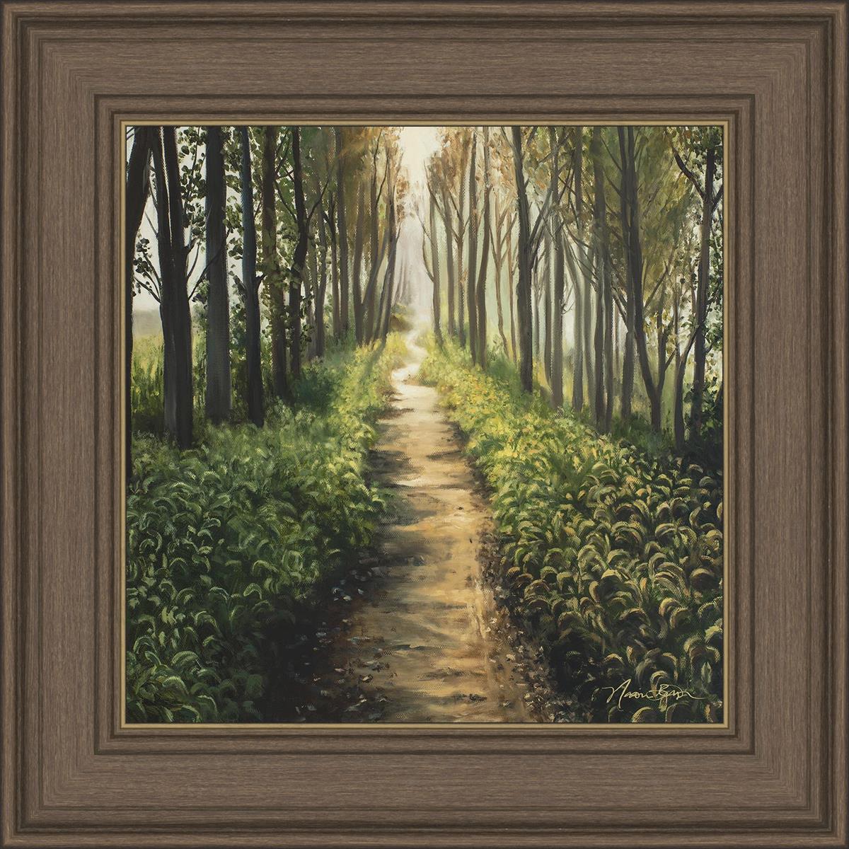 Enjoy The Beauty On Your Broken Path, Forest Walkway