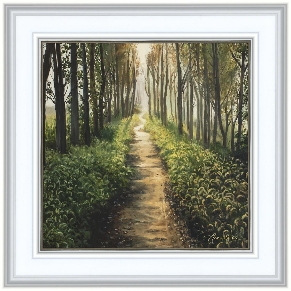 Enjoy The Beauty On Your Broken Path, Forest Walkway