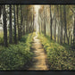 Enjoy The Beauty On Your Broken Path, Forest Walkway