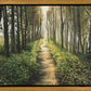 Enjoy The Beauty On Your Broken Path, Forest Walkway