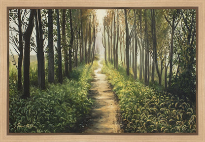 Enjoy The Beauty On Your Broken Path, Forest Walkway