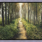 Enjoy The Beauty On Your Broken Path, Forest Walkway