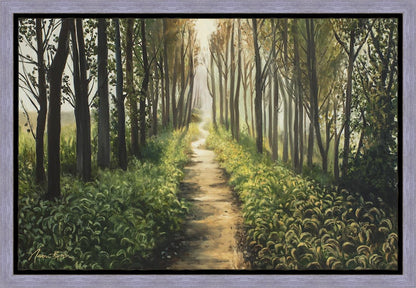 Enjoy The Beauty On Your Broken Path, Forest Walkway