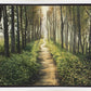 Enjoy The Beauty On Your Broken Path, Forest Walkway