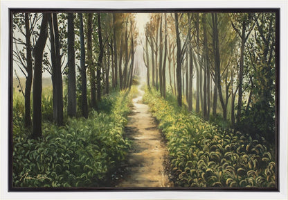 Enjoy The Beauty On Your Broken Path, Forest Walkway