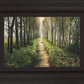 Enjoy The Beauty On Your Broken Path, Forest Walkway