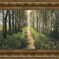 Enjoy The Beauty On Your Broken Path, Forest Walkway