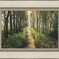 Enjoy The Beauty On Your Broken Path, Forest Walkway