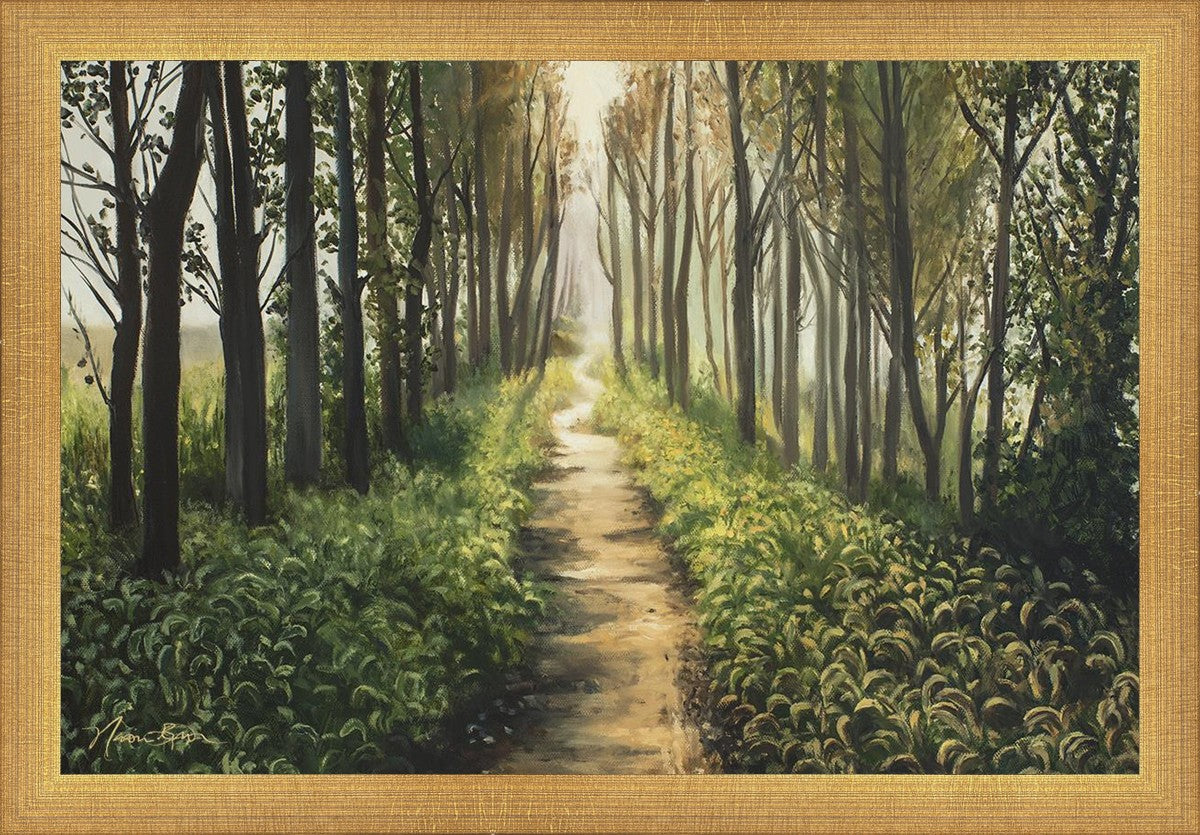 Enjoy The Beauty On Your Broken Path, Forest Walkway