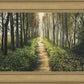 Enjoy The Beauty On Your Broken Path, Forest Walkway