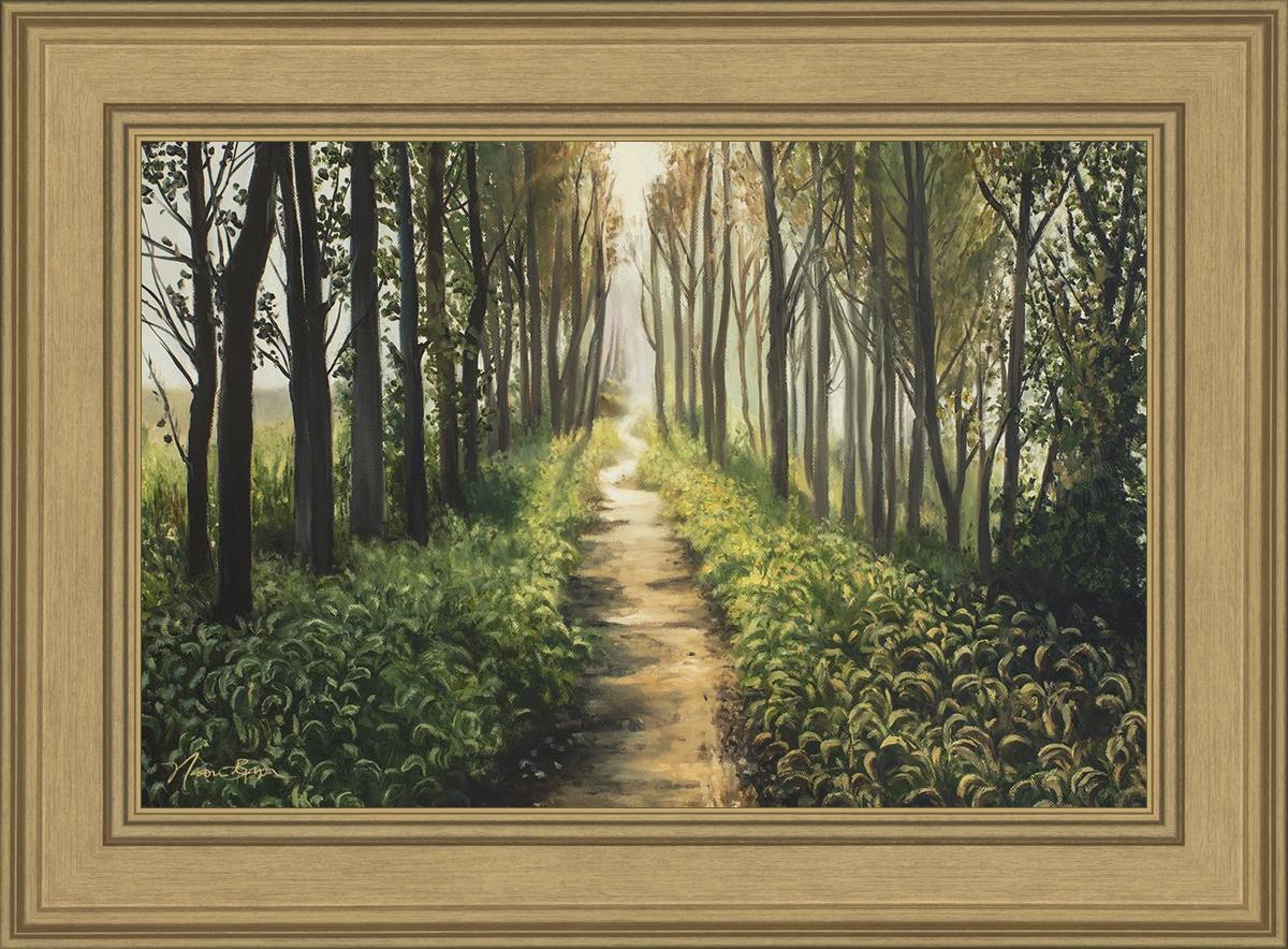 Enjoy The Beauty On Your Broken Path, Forest Walkway