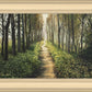 Enjoy The Beauty On Your Broken Path, Forest Walkway