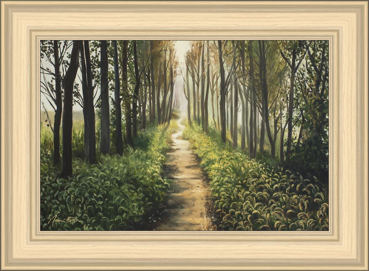 Enjoy The Beauty On Your Broken Path, Forest Walkway