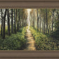 Enjoy The Beauty On Your Broken Path, Forest Walkway