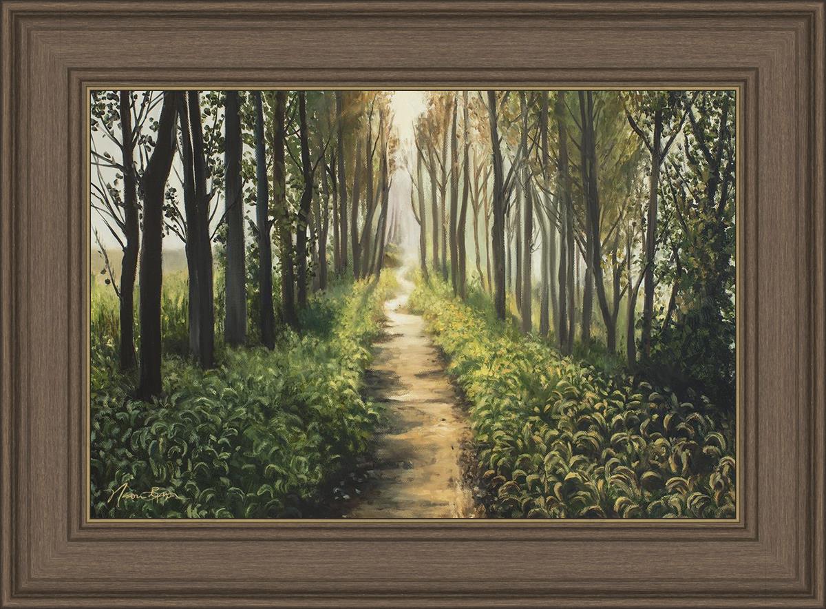 Enjoy The Beauty On Your Broken Path, Forest Walkway