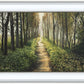Enjoy The Beauty On Your Broken Path, Forest Walkway