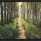 Enjoy The Beauty On Your Broken Path, Forest Walkway