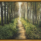 Enjoy The Beauty On Your Broken Path, Forest Walkway