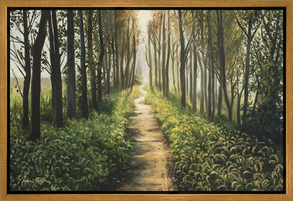 Enjoy The Beauty On Your Broken Path, Forest Walkway