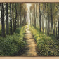 Enjoy The Beauty On Your Broken Path, Forest Walkway