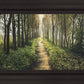 Enjoy The Beauty On Your Broken Path, Forest Walkway
