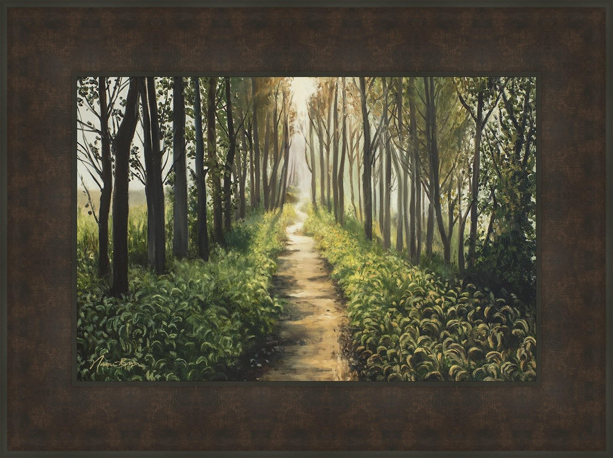 Enjoy The Beauty On Your Broken Path, Forest Walkway