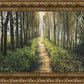 Enjoy The Beauty On Your Broken Path, Forest Walkway