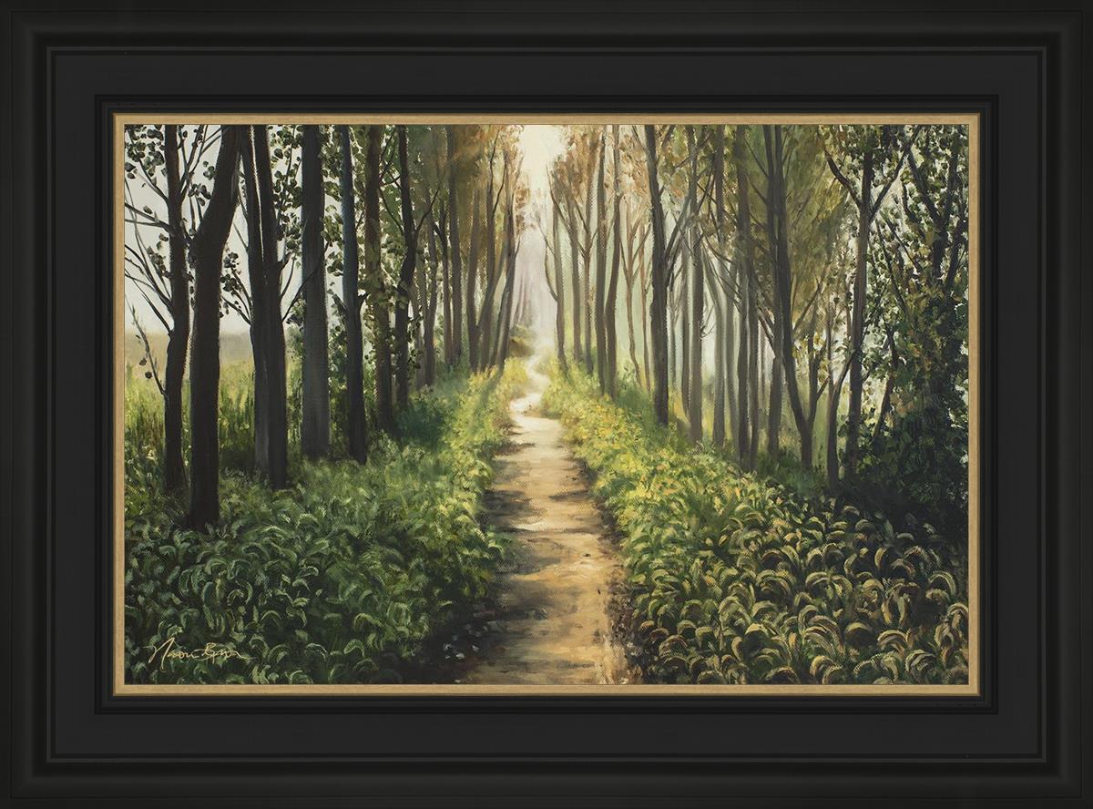 Enjoy The Beauty On Your Broken Path, Forest Walkway