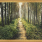 Enjoy The Beauty On Your Broken Path, Forest Walkway