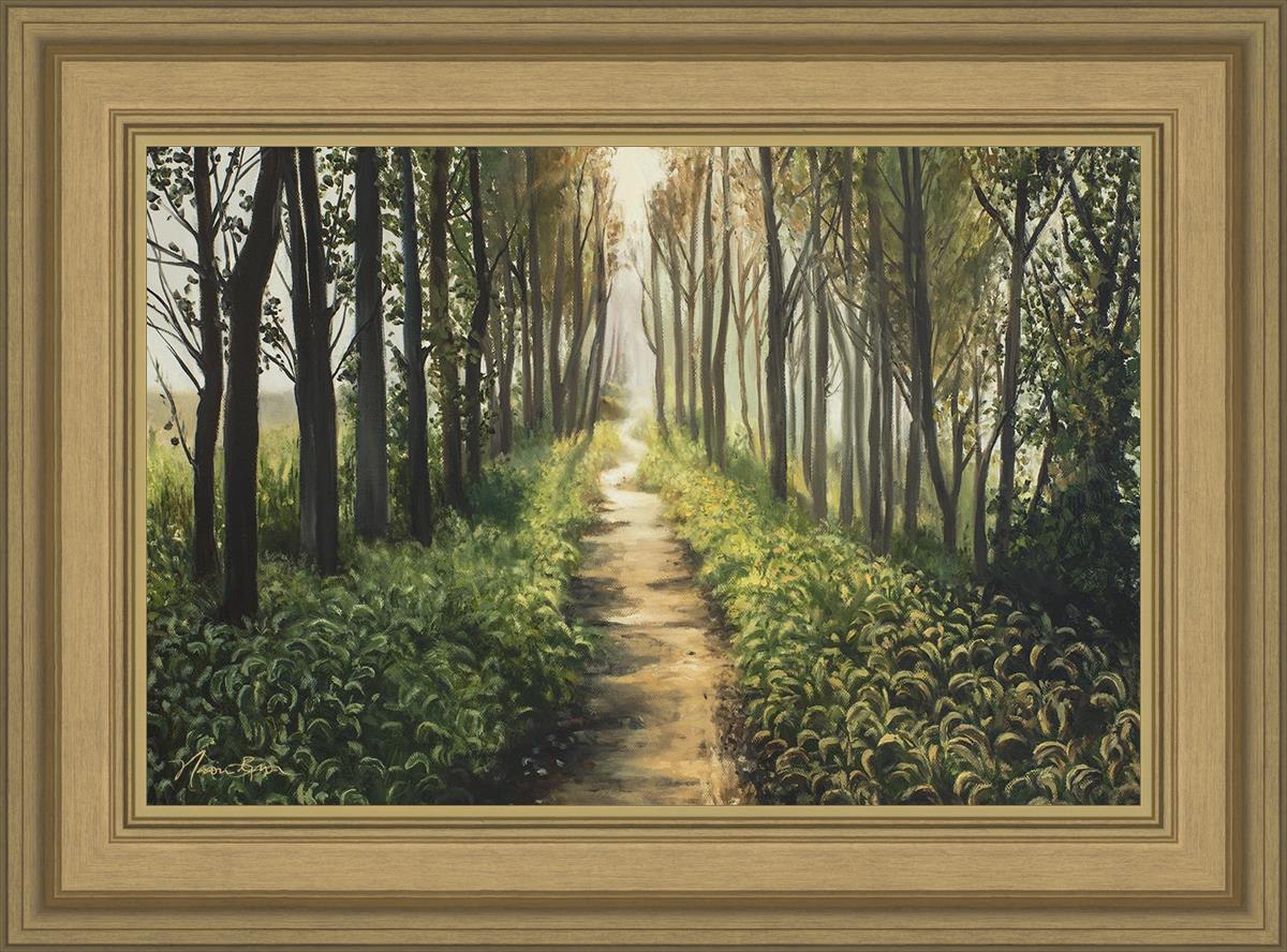 Enjoy The Beauty On Your Broken Path, Forest Walkway