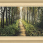 Enjoy The Beauty On Your Broken Path, Forest Walkway