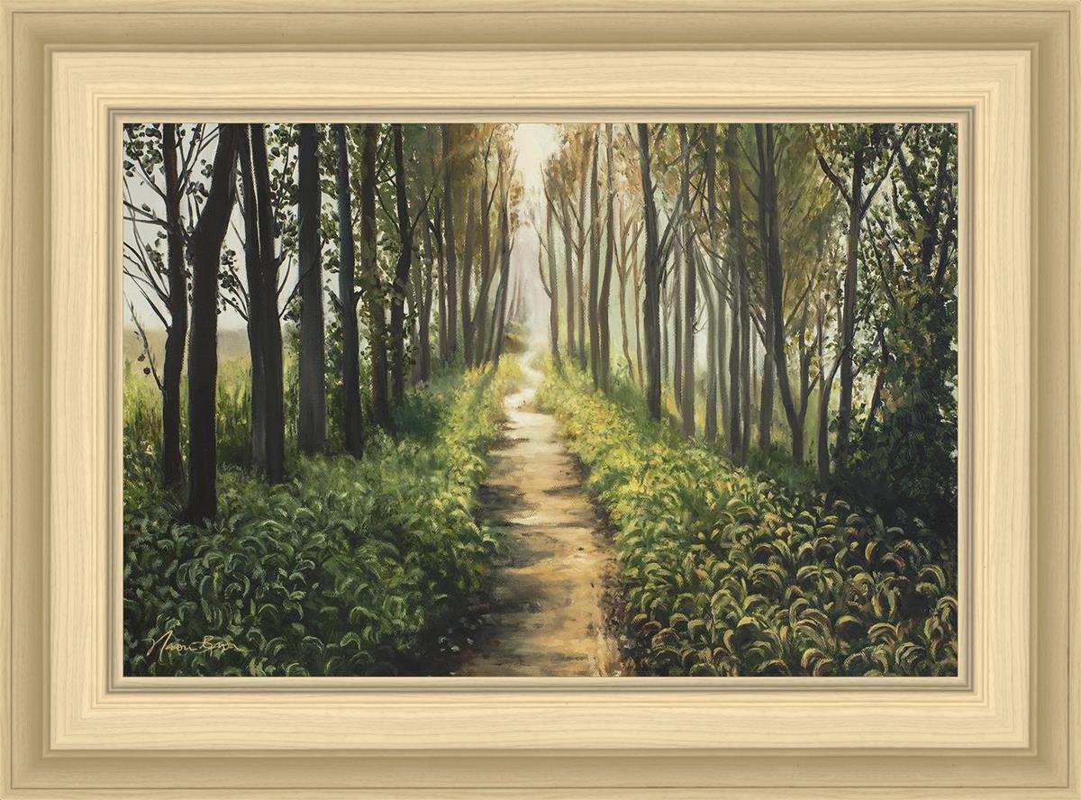 Enjoy The Beauty On Your Broken Path, Forest Walkway