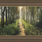 Enjoy The Beauty On Your Broken Path, Forest Walkway