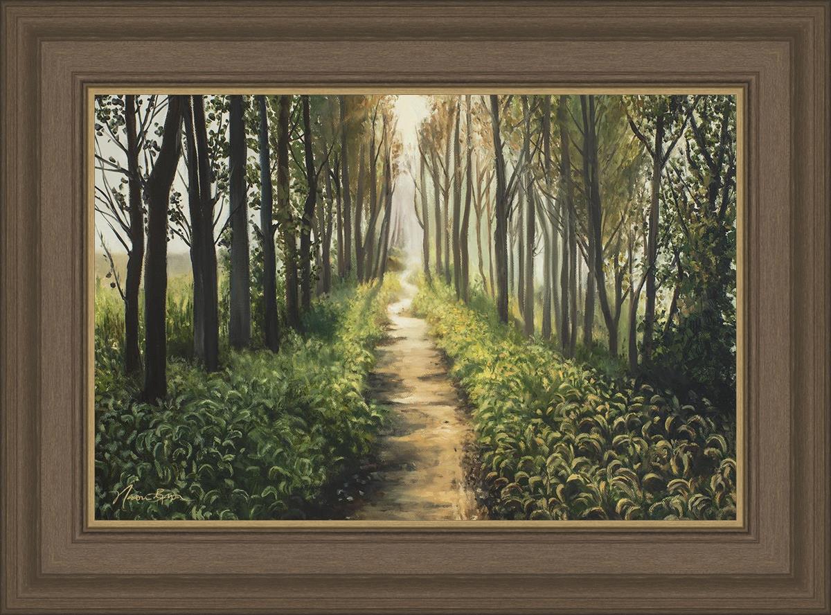 Enjoy The Beauty On Your Broken Path, Forest Walkway