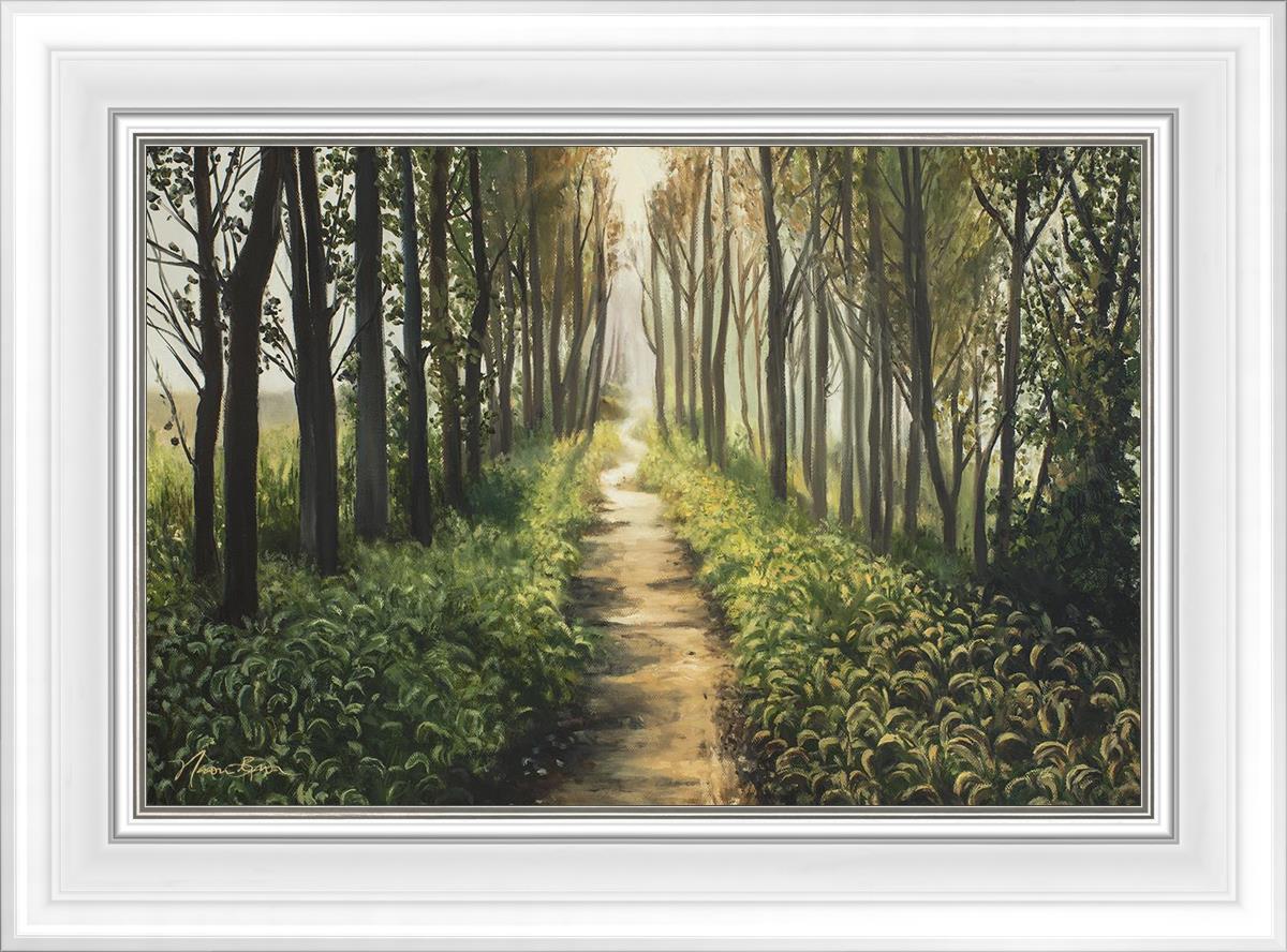 Enjoy The Beauty On Your Broken Path, Forest Walkway