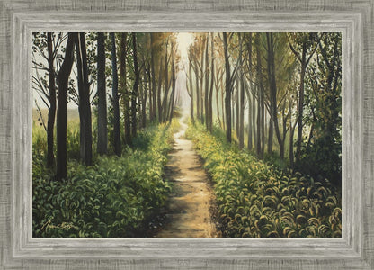 Enjoy The Beauty On Your Broken Path, Forest Walkway