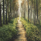 Enjoy The Beauty On Your Broken Path, Forest Walkway