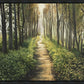 Enjoy The Beauty On Your Broken Path, Forest Walkway