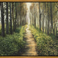 Enjoy The Beauty On Your Broken Path, Forest Walkway