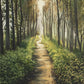 Enjoy The Beauty On Your Broken Path, Forest Walkway