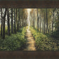 Enjoy The Beauty On Your Broken Path, Forest Walkway