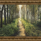 Enjoy The Beauty On Your Broken Path, Forest Walkway