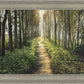 Enjoy The Beauty On Your Broken Path, Forest Walkway