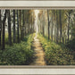 Enjoy The Beauty On Your Broken Path, Forest Walkway